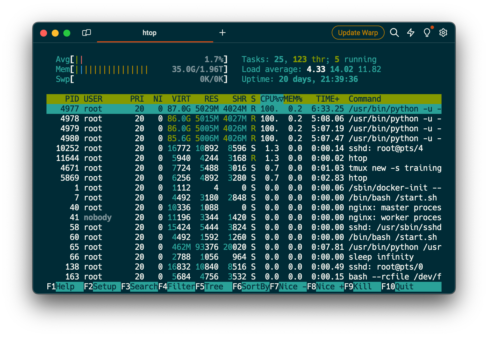 Screenshot of remote box htop